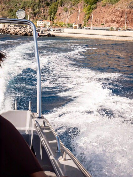 Picture 2 for Activity Funchal: Thrilling Speedboat tour - Madeira sparkling waters