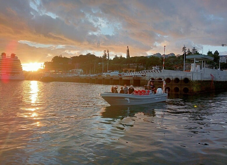 Picture 15 for Activity Funchal: Thrilling Speedboat tour - Madeira sparkling waters