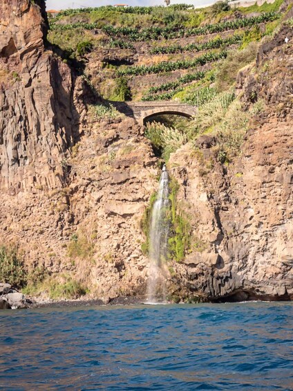 Picture 3 for Activity Funchal: Thrilling Speedboat tour - Madeira sparkling waters