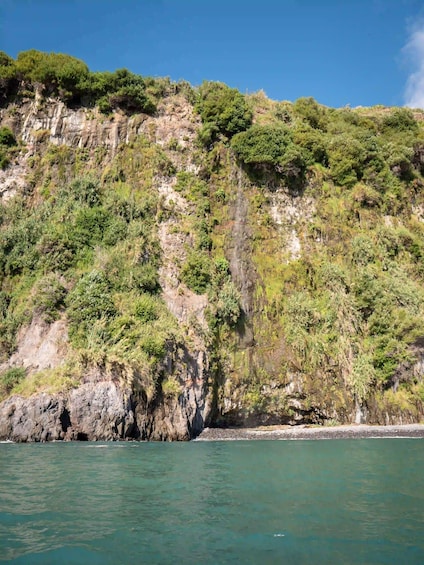 Picture 6 for Activity Funchal: Thrilling Speedboat tour - Madeira sparkling waters