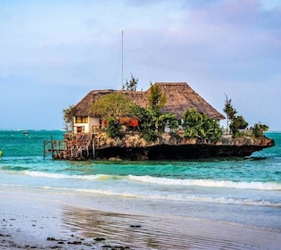 Spice Tour, Forêt de Jozani, Grotte de Kuza, Plage de Paje, Le Rocher