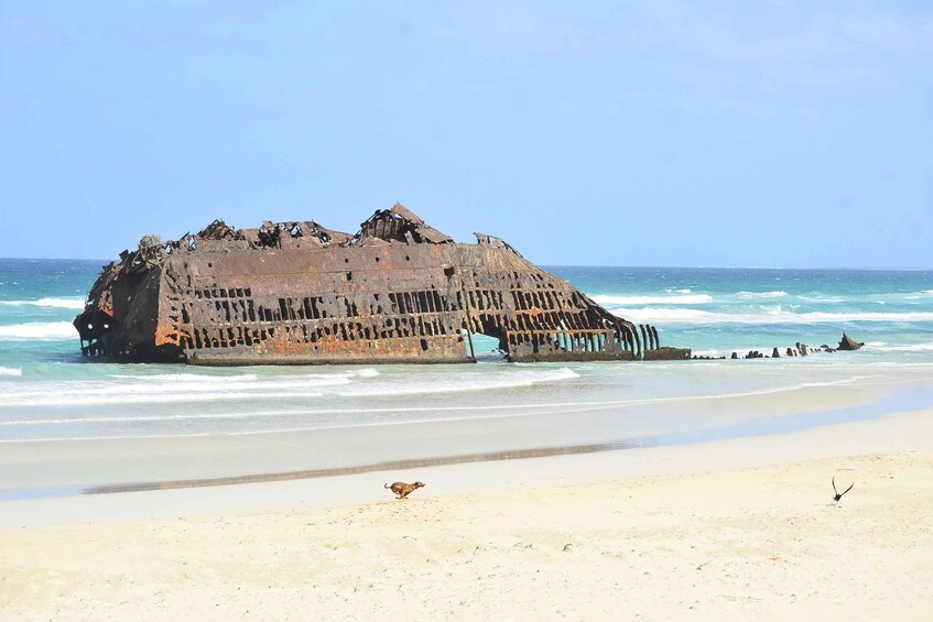 Picture 8 for Activity Boavista: Rabil, Shipwreck, City, Snacks & Drinks - 4x4 Tour