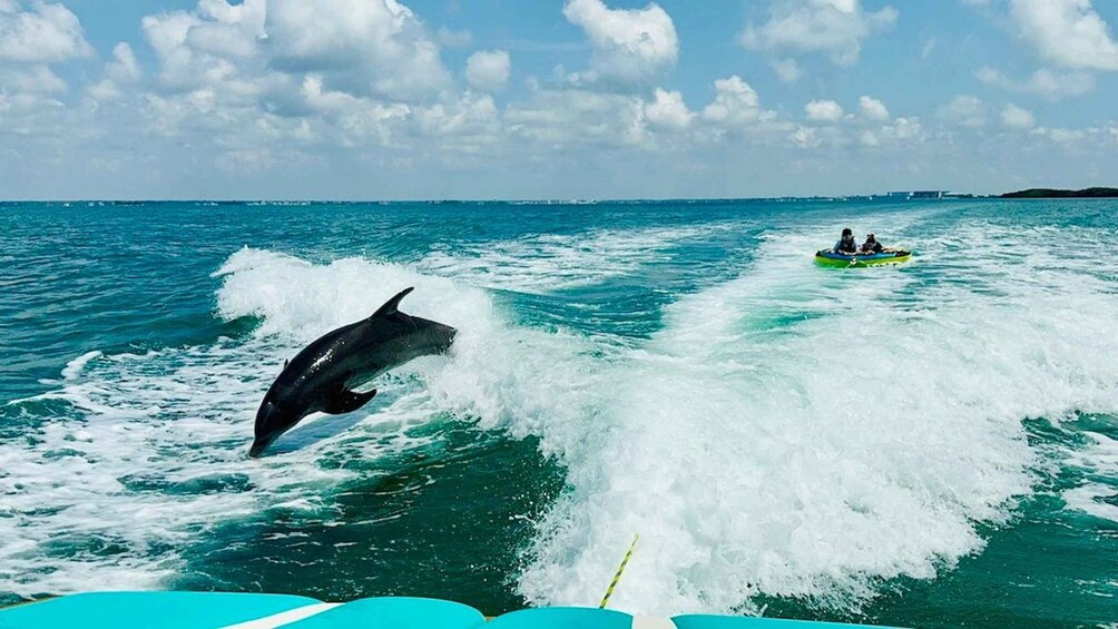 Picture 16 for Activity Clearwater Beach: WakeSurfing & Watersports Tours