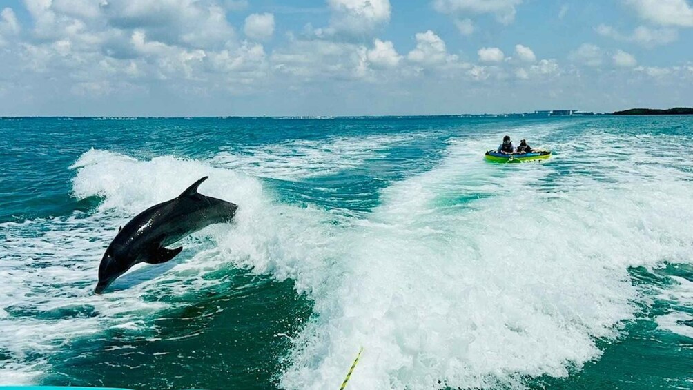 Picture 16 for Activity Clearwater Beach: WakeSurfing & Watersports Tours