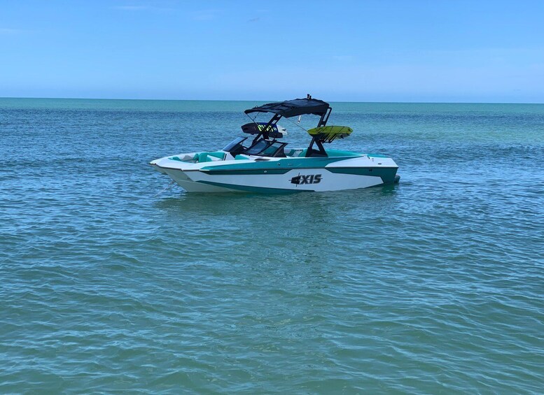 Picture 12 for Activity Clearwater Beach: WakeSurfing & Watersports Tours