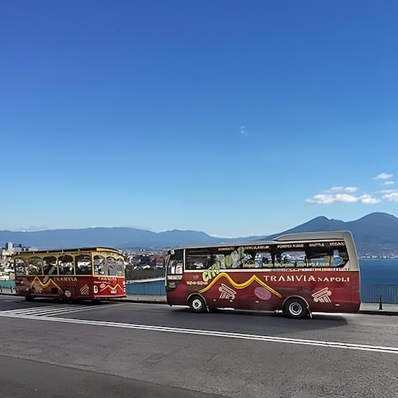 Picture 2 for Activity Naples: Hop-On-Hop-Off Bus Tour of Naples