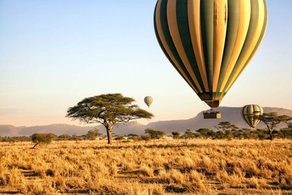 4 Days fly-in Serengeti safari