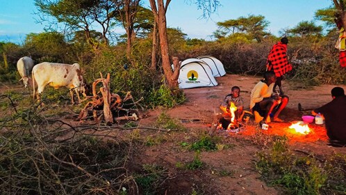 Maasai Camping Experience