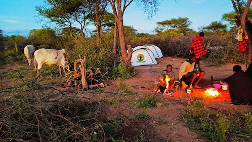 Maasai Camping Experience