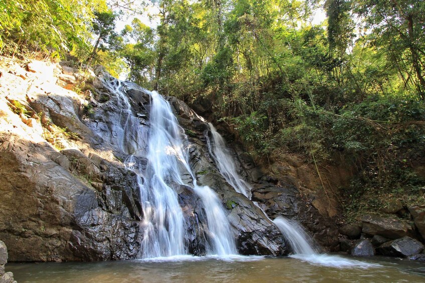 Picture 5 for Activity Chiang Mai: Guided Jungle and Waterfall Trek with Transfer