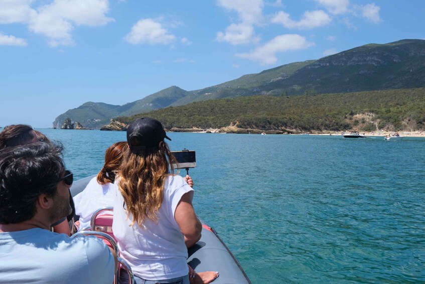 Picture 6 for Activity Setúbal: Dolphin-Watching Boat Tour