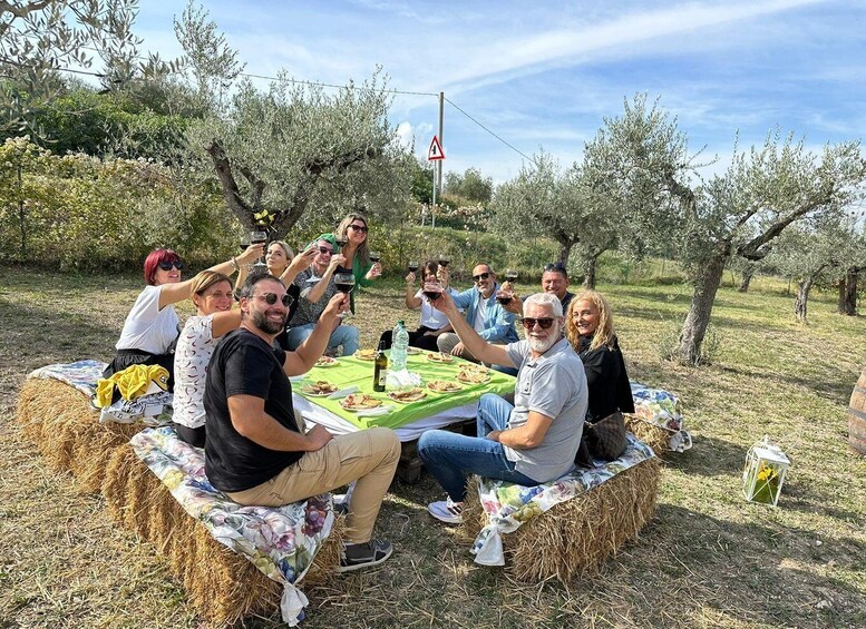 Picture 11 for Activity Umbria: guided tour to traditional oil mill + tasting