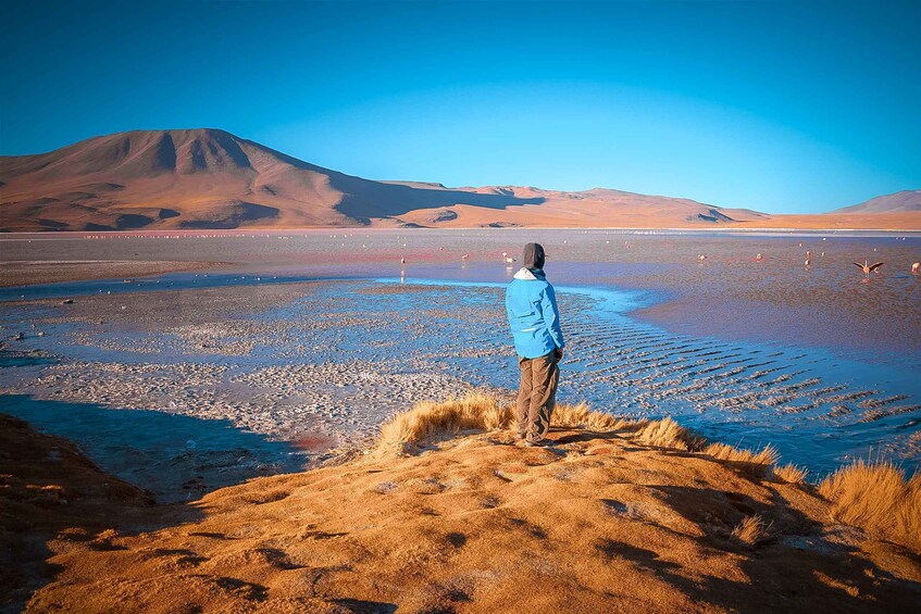 Picture 3 for Activity From Uyuni: 3-Day Tour to San Pedro with Salt Flats Visit