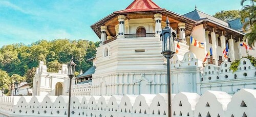 Excursión de un día de Colombo al Templo del Diente de Kandy (Excursión por...