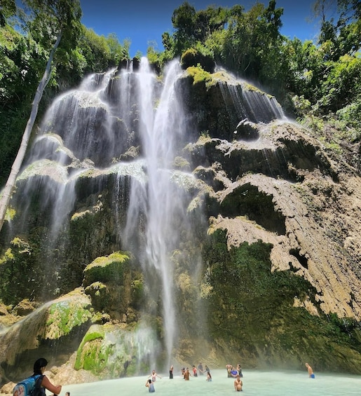 Picture 5 for Activity Cebu: Whale shark & mysterious waterfall private tour