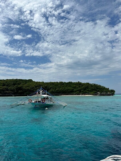 Picture 7 for Activity Cebu: Whale shark & mysterious waterfall private tour