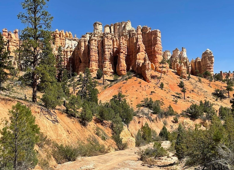 Picture 1 for Activity From Las Vegas: Bryce Canyon & Zion National Park Day Trip