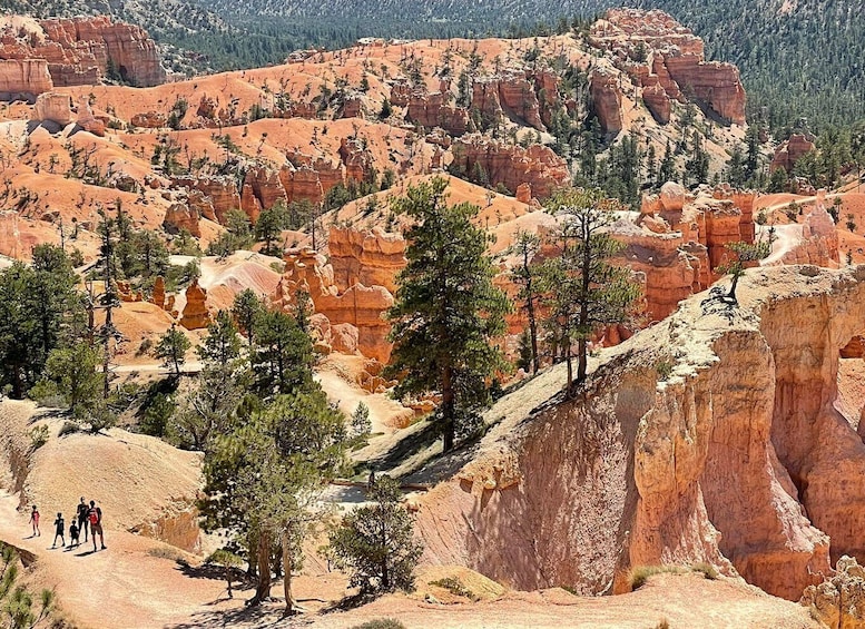 Picture 4 for Activity From Las Vegas: Bryce Canyon & Zion National Park Day Trip