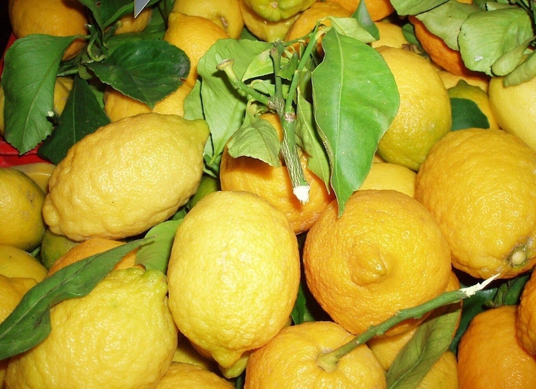 Picture 9 for Activity Sorrento: Limoncello Factory Tour and Tasting Experience