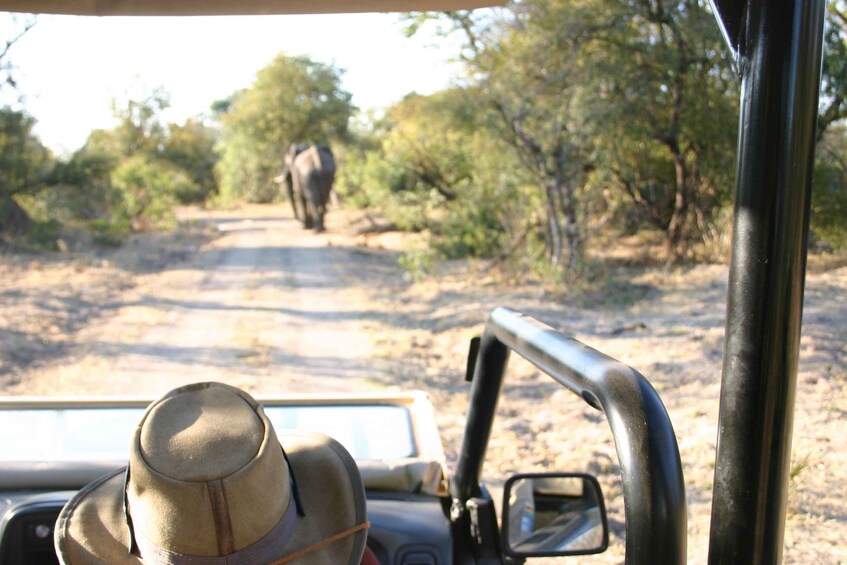 Picture 11 for Activity Victoria Falls: 4x4 Victoria Falls Town Safari