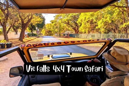 Victorian putoukset: 4x4 Victoria Falls Town Safari