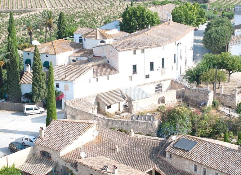 Picture 3 for Activity Finca Viladellops: Eco-Tour Through Vineyards and Winemaking