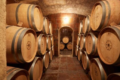 Finca Viladellops: Eco-Tour Through Vineyards and Winemaking