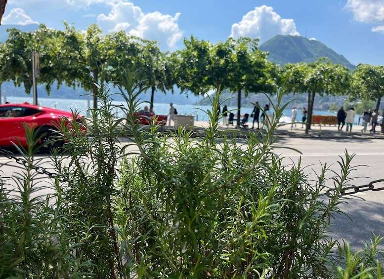 Picture 30 for Activity From Como: Bellagio and Lugano Tour with Lake Como Cruise