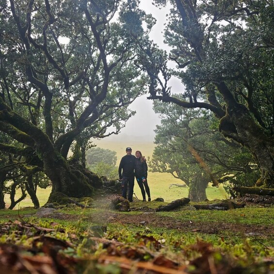 Picture 4 for Activity Private Tour: Fanal Tour By overland Madeira