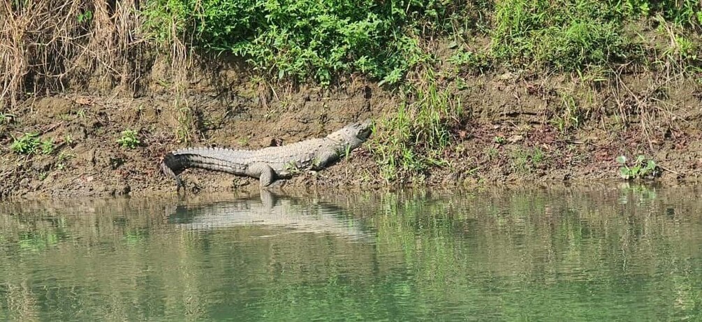 Picture 14 for Activity 3 Nights 4 Days Chitwan National Park with Tower Night Stay