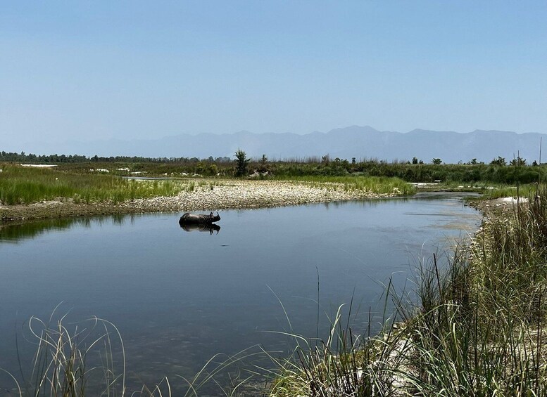 Picture 5 for Activity 3 Nights 4 Days Chitwan National Park with Tower Night Stay