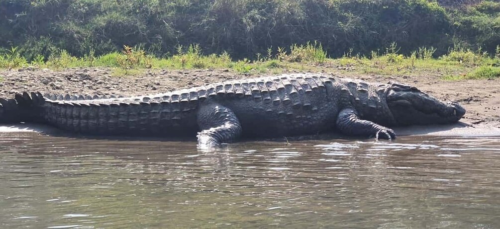 Picture 6 for Activity 3 Nights 4 Days Chitwan National Park with Tower Night Stay
