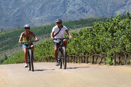 Stellenbosch Winelands Guided E-bike day tour countryside