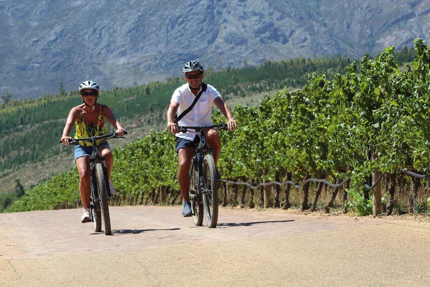 E-Bike Stellenbosch Winelands - Full Day Private Tour