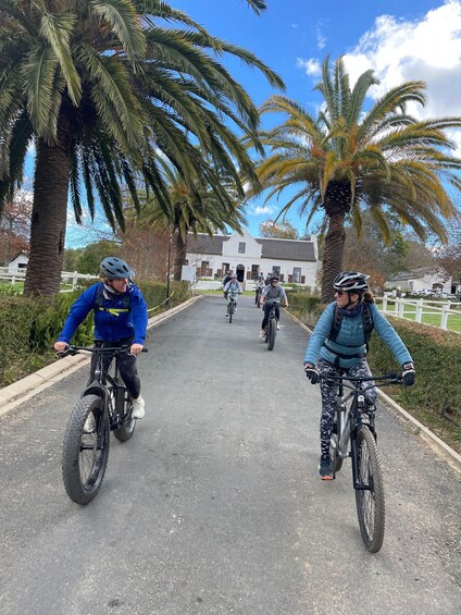 Picture 4 for Activity E-Bike Stellenbosch Winelands - Full Day Private Tour