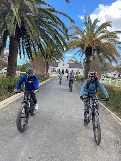 Picture 4 for Activity E-Bike Stellenbosch Winelands - Full Day Private Tour