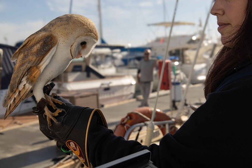 Picture 15 for Activity From Marbella: Private and Group Sailboat Cruise & Drinks