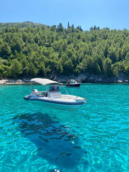 Picture 3 for Activity Dubrovnik: Mljet Odysseus Cave/National Park by Private Boat