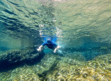 San Terenzo: Portoveneren luonnonpuiston snorklausretki