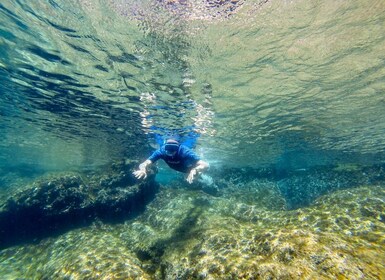 San Terenzo: Portovenere Natural Park Snorkelling Trip