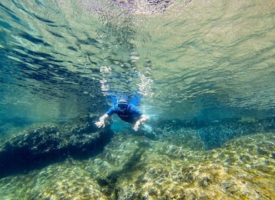 San Terenzo: Portovenere Natural Park Snorkelling Trip