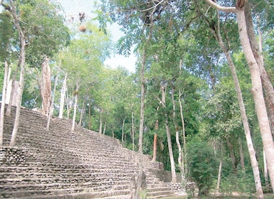 From Campeche: Private 3-Day Selva Maya Tour with Half Board