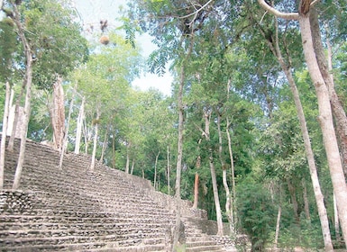 From Campeche: Private 3-Day Selva Maya Tour with Half Board