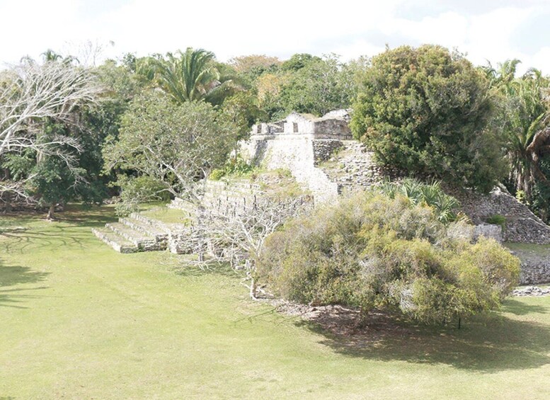 Picture 3 for Activity From Campeche: Private 3-Day Selva Maya Tour with Half Board