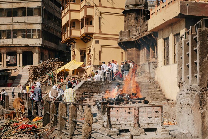 Picture 11 for Activity Immerse yourself in Varanasi's essence. 2 Days Tour