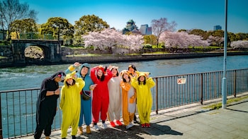 Street Kart tour with funny costume in Osaka!!