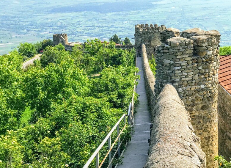 Picture 2 for Activity From Tbilisi or Mtskheta: Kakheti and Mtskheta Private Tour