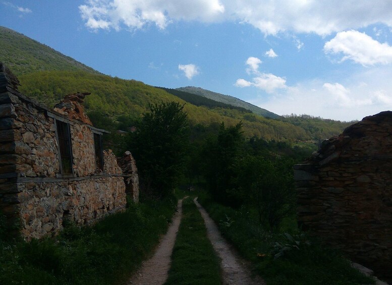 Picture 10 for Activity Skopje - Ohrid Experience: Mountainbike Safari