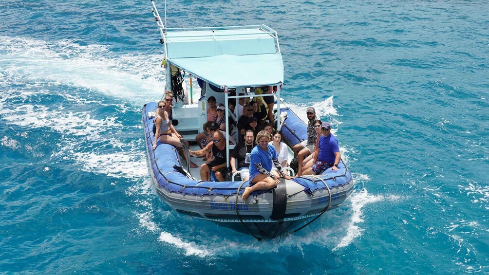 Picture 1 for Activity Oahu: Speedboat Snorkeling Adventure and Wild Dolphin Swim
