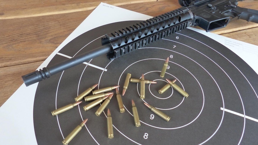 Zakopane: Shooting Real Firearms, Live Rounds 30 shots